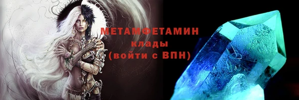 прущие грибы Богородицк