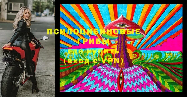 mdma Богданович
