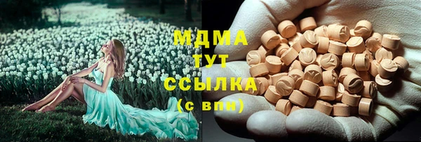 прущие грибы Богородицк