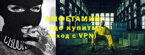 прущие грибы Богородицк