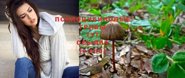 экстази Богородск