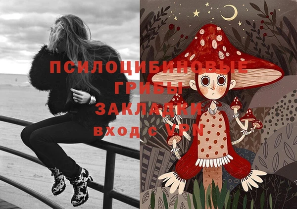 экстази Богородск