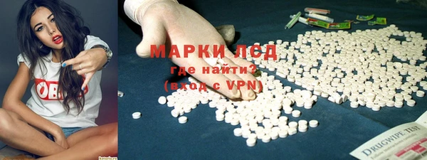 прущие грибы Богородицк